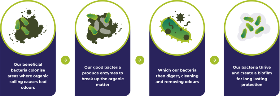 Enzymatic process