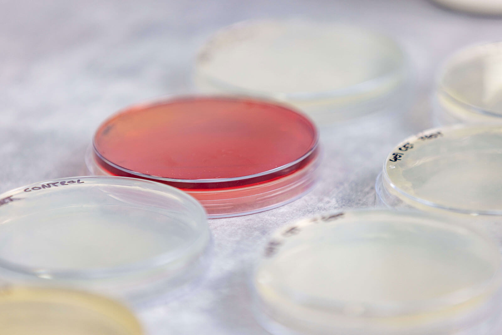 Biological-Products_DS_6310