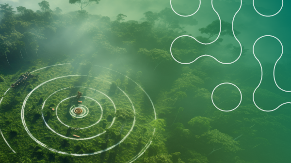 NCZ Gold Certified Since 2024: How Biological Preparations Delivers Proven Carbon Reduction