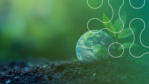 Beyond the Wrapper: How to Get the Most from Hygiene and Sustainability in Sachets