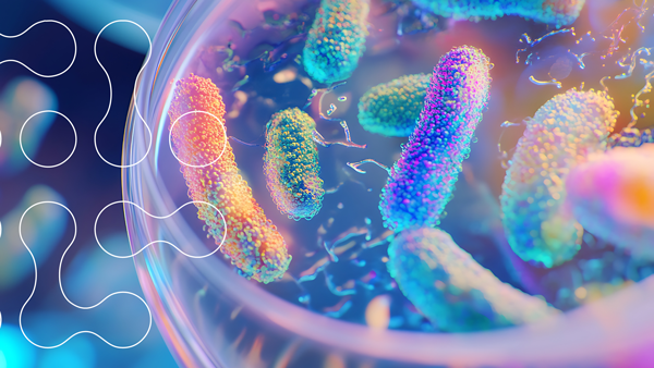 How Climate Change Fuels the Growth of Antimicrobial Resistance