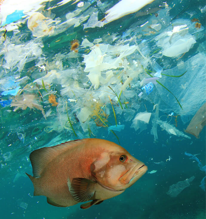 The New Solutions to Plastic Pollution